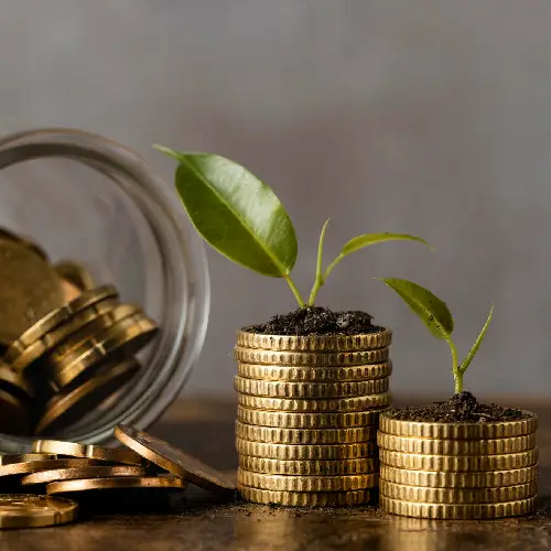 Which growth strategies you should adopt